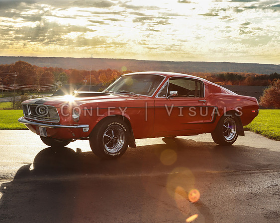 IMG_1269_CAR_EDIT_GOOD_8x10_crop
